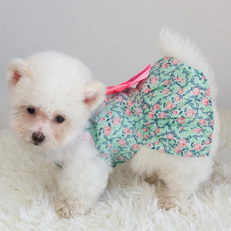 Bloemenprinses Jurk Lente Zomer Hondenkleding Zoete huisdierkleding Leuke bedrukte puppy kat rok Dunne rok huisdierkleding