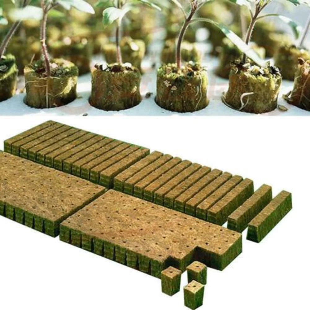 50/100Pcs Plant Starter Grow Starter Cubes Plug For Garden Greenhouse Orchard Sun Room Hydroponic Grow Media Cloning Plant